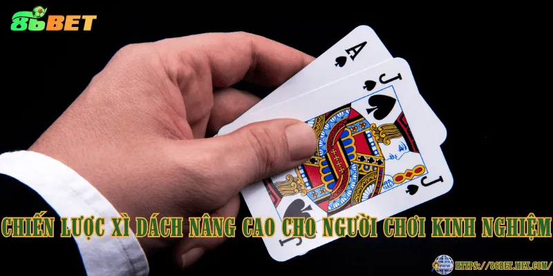 Chiến lược Xì Dách giúp nâng cao cơ hội chiến thắng Chiến lược Xì Dách nâng cao cho người chơi kinh nghiệm
