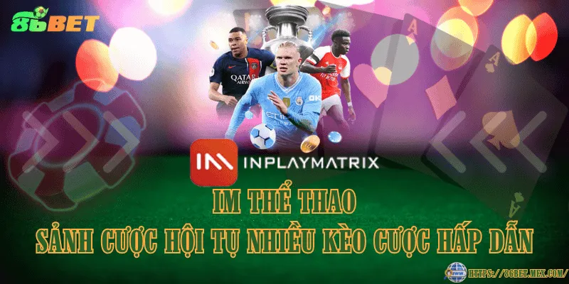 IM thể thao - Sảnh cược hội tụ nhiều kèo cược hấp dẫn IM thể thao - Sảnh cược hội tụ nhiều kèo cược hấp dẫn