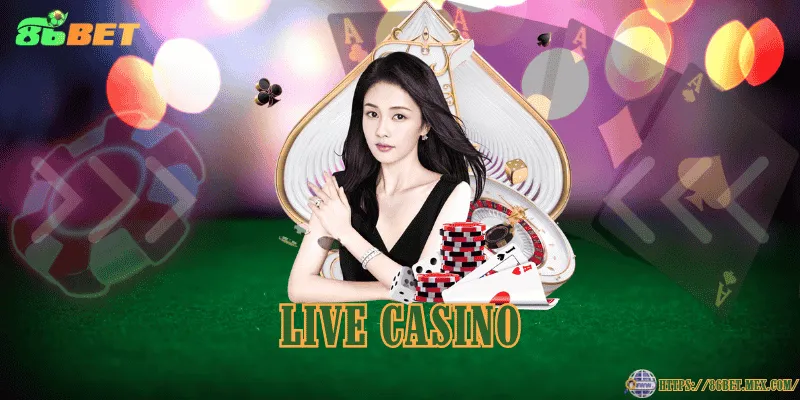 Live casino chân thực, dealer chuyên nghiệp, hình ảnh rõ nét