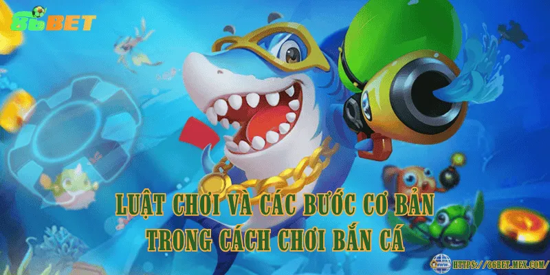 Cách chơi bắn cá cơ bản cho người mới bắt đầu Luật chơi và các bước cơ bản trong cách chơi bắn cá