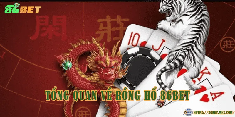 Rồng hổ 86BET – Luật chơi và các loại cửa cược Tổng quan về rồng hổ 86BET