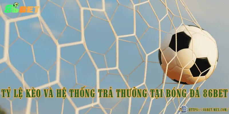 Bóng đá 86BET – Điểm đến lý tưởng cho người đam mê cá cược Tỷ lệ kèo và hệ thống trả thưởng tại bóng đá 86BET