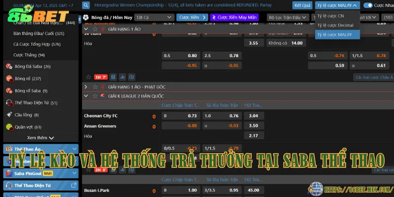 SABA Thể Thao – Sảnh cá cược thể thao hàng đầu Tỷ lệ kèo và hệ thống trả thưởng tại SABA Thể Thao